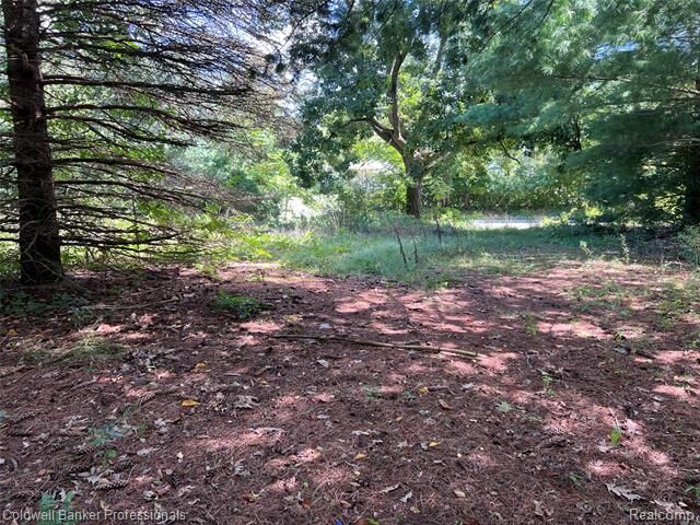 Property Photo: 24917 Martindale Road MI 48178
