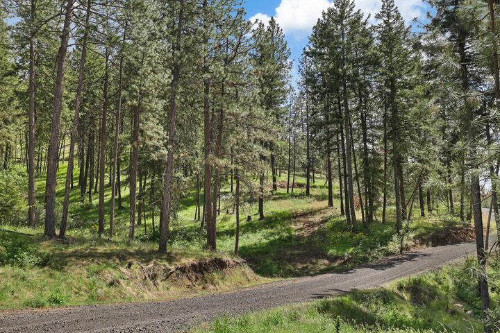 Property Photo: Nka Weaver Way Lot 4 Of Lot 1 WA 99006