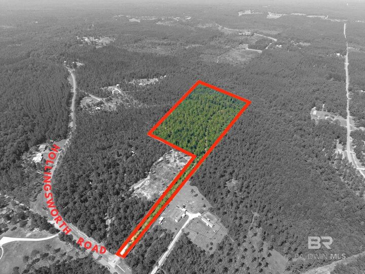 Property Photo:  50428 Hollingsworth Road  AL 36507 