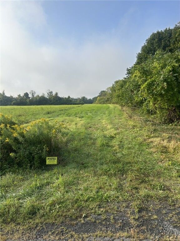 Iradell Road  Trumansburg NY 14886 photo
