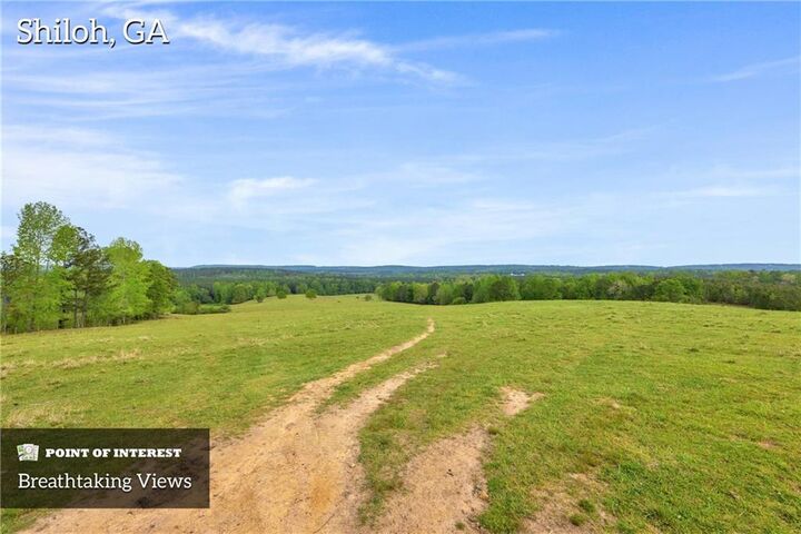 Property Photo:  2450 Chestnut Grove Road  GA 31826 