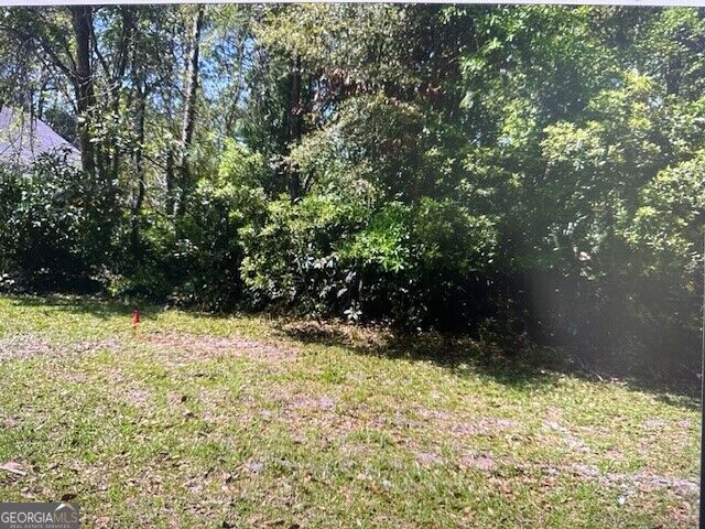 Property Photo:  V/L 699 Mooring Lane  GA 31558 