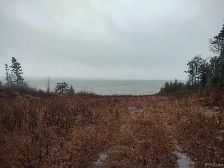 Property Photo:  94 Acres Saint Mary's River  MI 49725 
