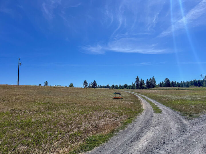 719 Deer Meadow Way  Kettle Falls WA 99141 photo