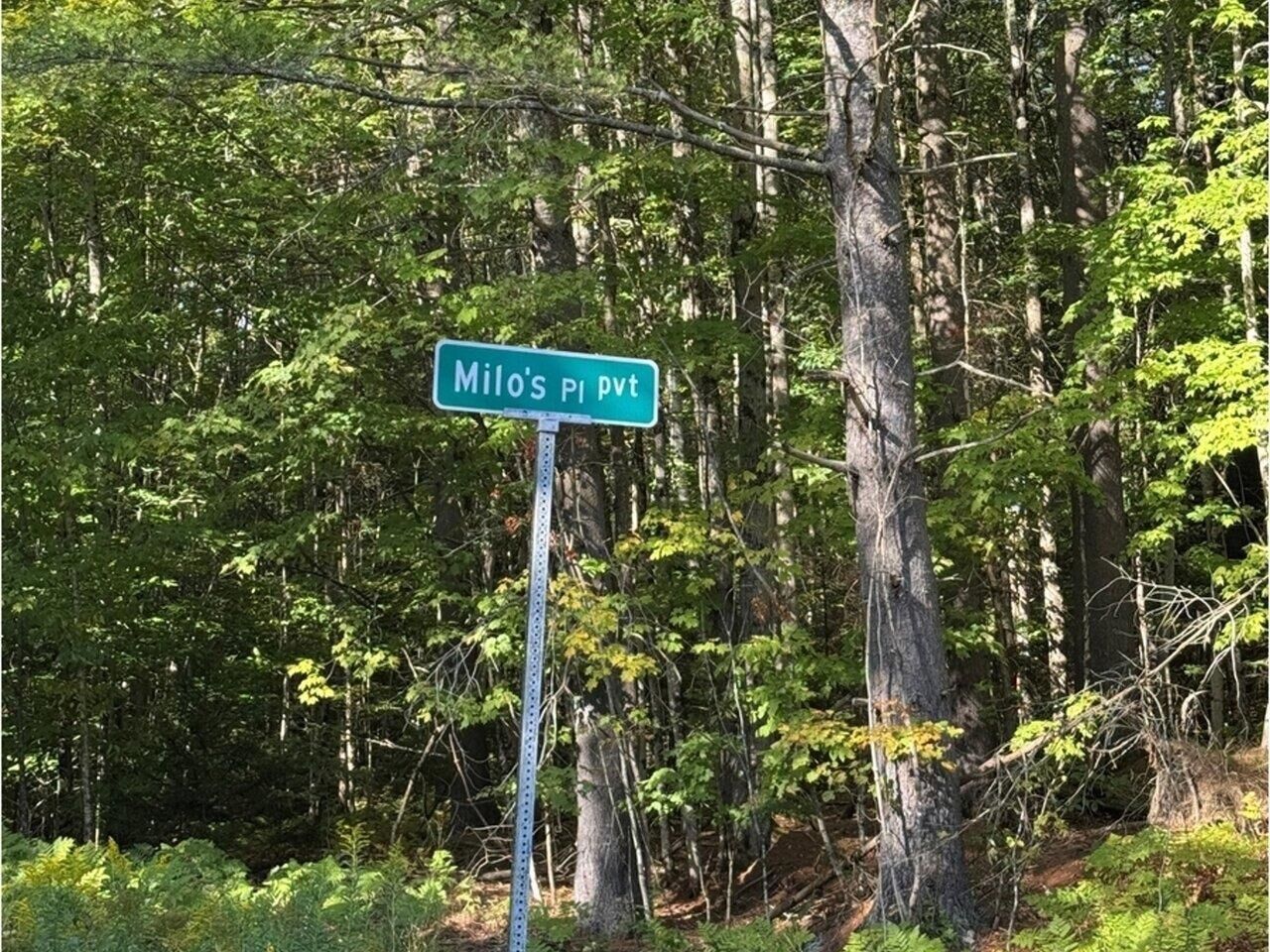Property Photo: Lot 5 Milo'S Place VT 05682