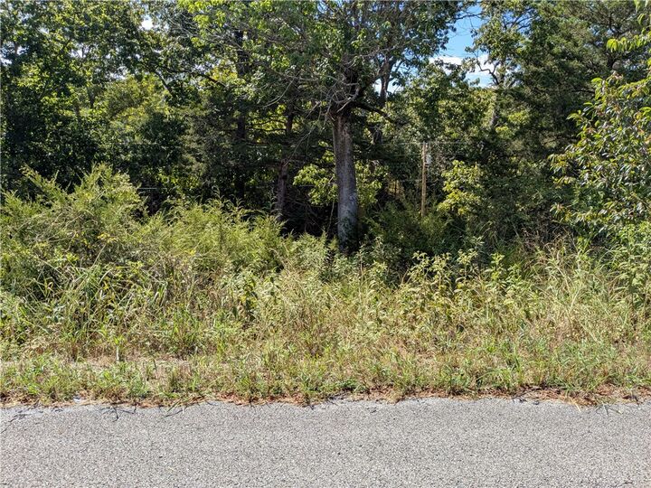 Property Photo: 41 Horseshoe Drive AR 72631