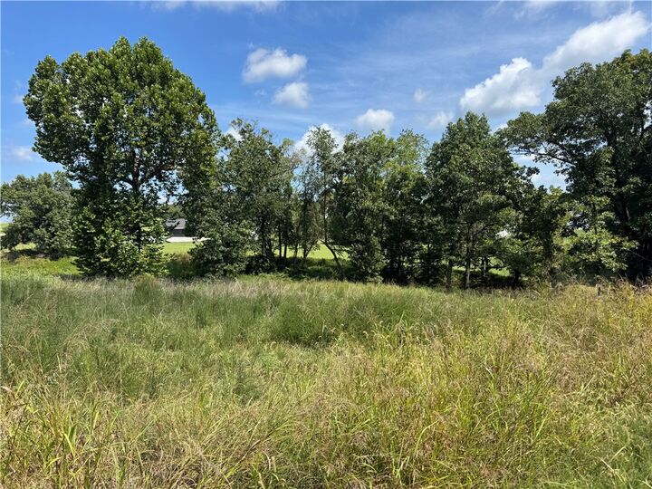Property Photo: Lot 13 Bunch Circle AR 72736