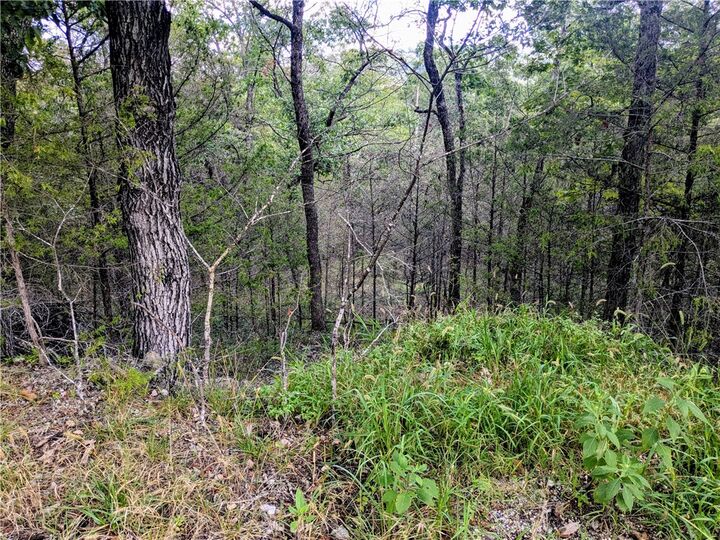 Property Photo: 4 Beaver Cove AR 72631