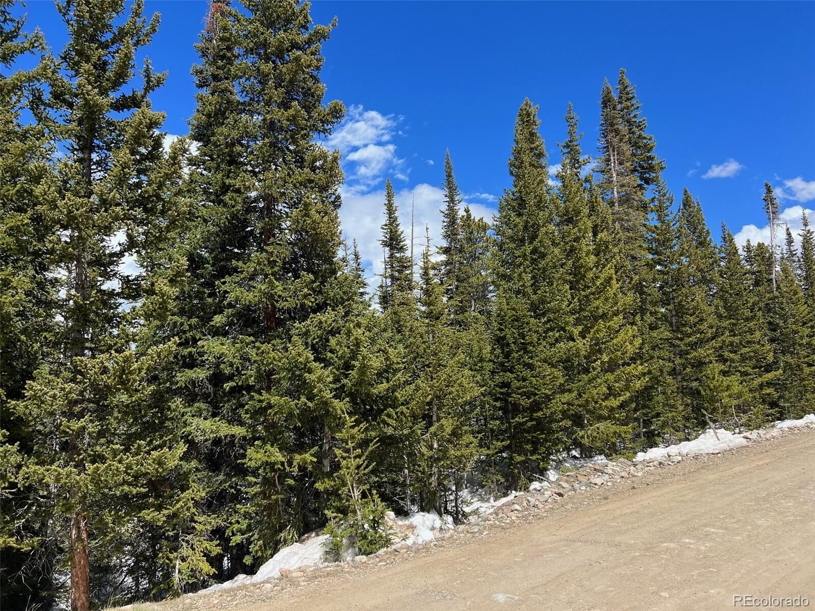 Property Photo:  134 El Lobo Lane  CO 80440 