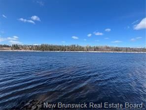 Property Photo:  - Route 118  NB E9E 2G8 