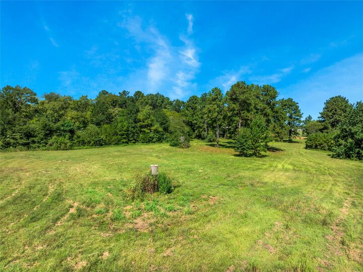 Property Photo: 999 Fm 1486 TX 77316