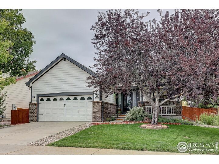 3805 Panther Dr  Loveland CO 80537 photo
