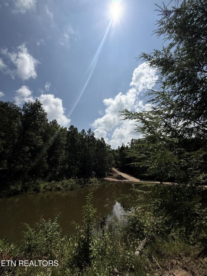 Property Photo:  1055 Big Four Rd  TN 37766 