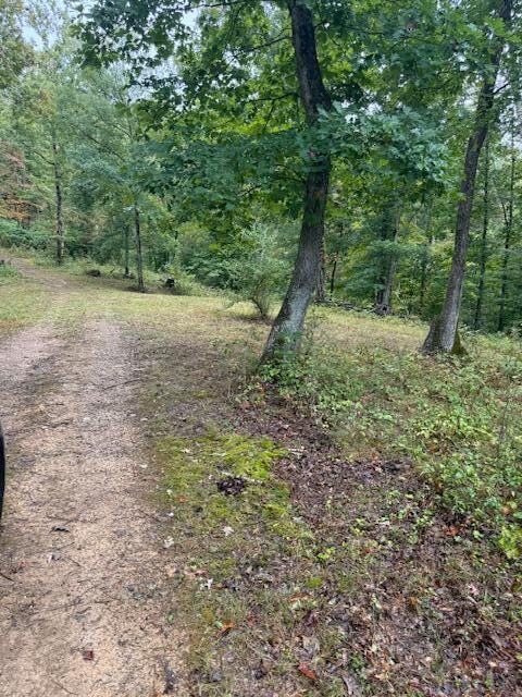 Property Photo: 15709 Trace Road KY 41168