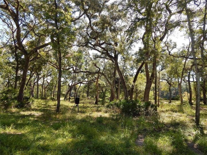 Property Photo:  1357 NE 930th Street  FL 32680 