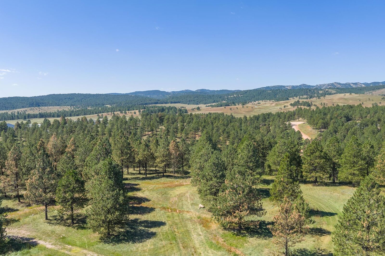 Property Photo:  24707 Timber Ridge Road  SD 57744 