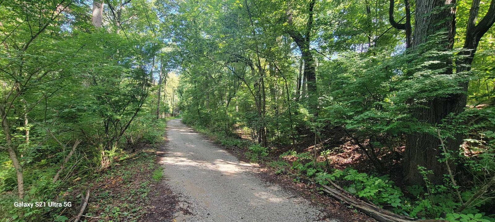 Property Photo: 19343 Ravine Drive MI 49117