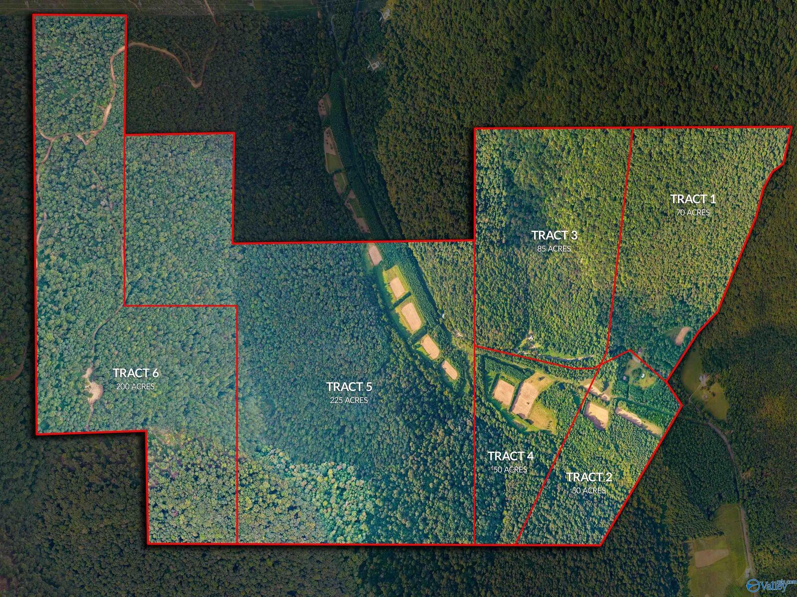 Property Photo:  3818 -4 County Road 4 Tract 4  AL 35751 
