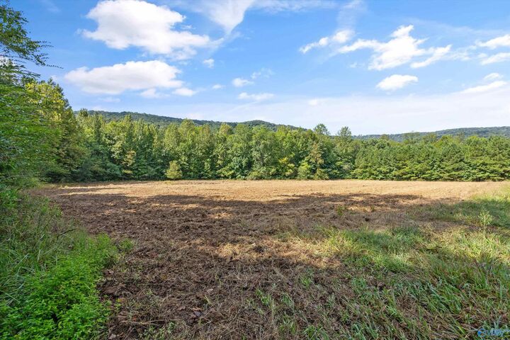 Property Photo:  3818 -5 County Road 4 Tract 5  AL 35751 