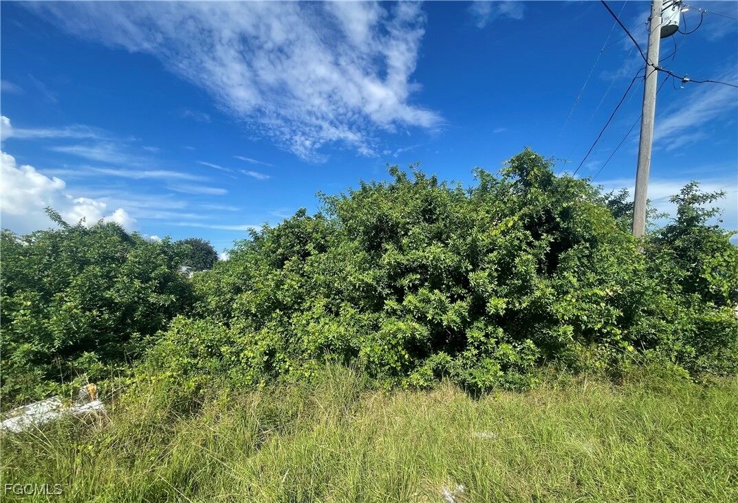 Property Photo: 1001 Chadbourne Avenue FL 33971