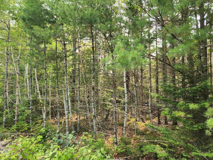 Property Photo:  Lot 70 Turner Point Crossover  NS B0J 2E0 