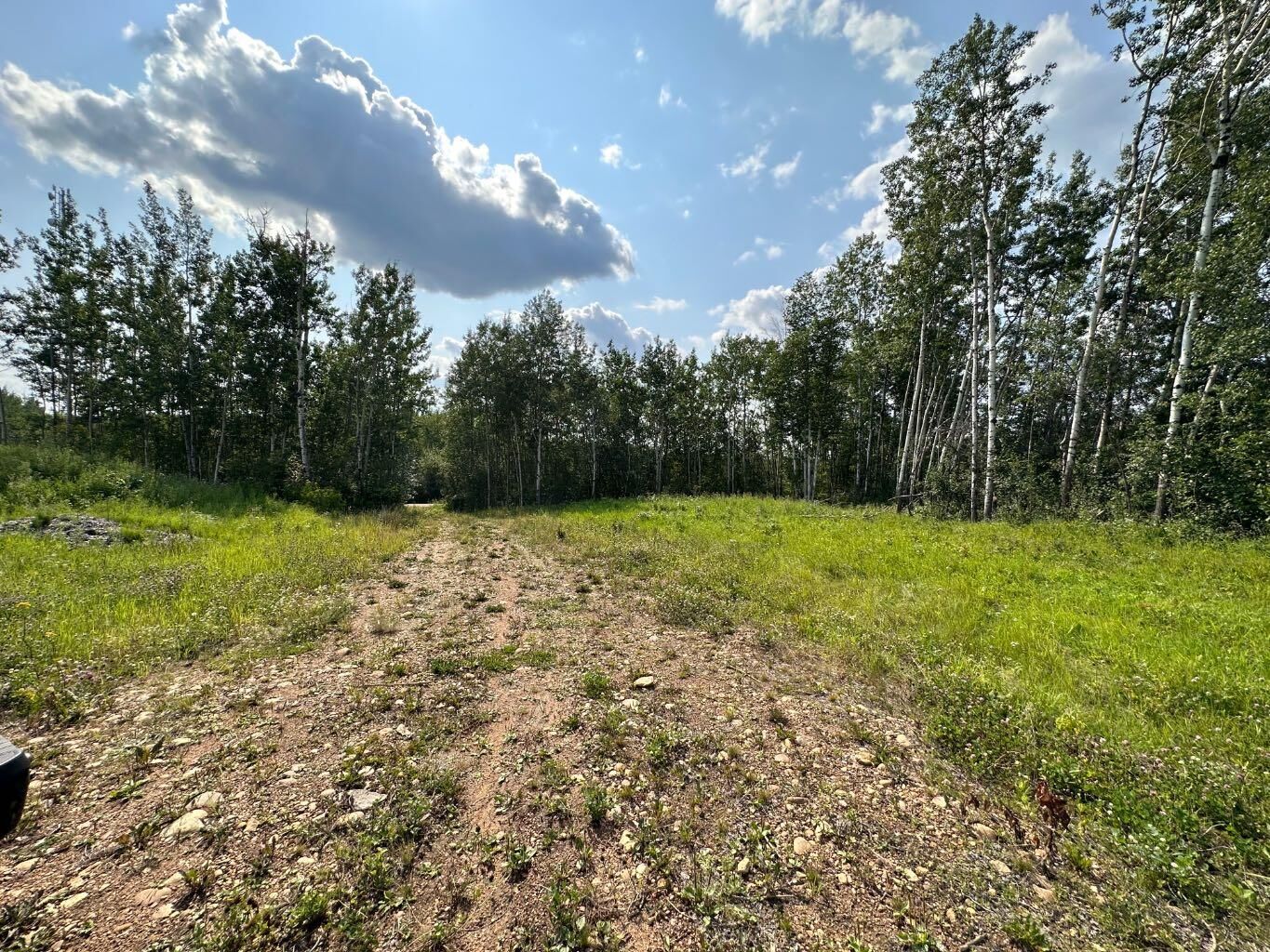 Property Photo: 67417 McGrane Road 121 AB T0A 2C2