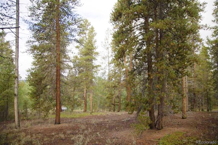 Property Photo: 416 Juniper Drive CO 81251