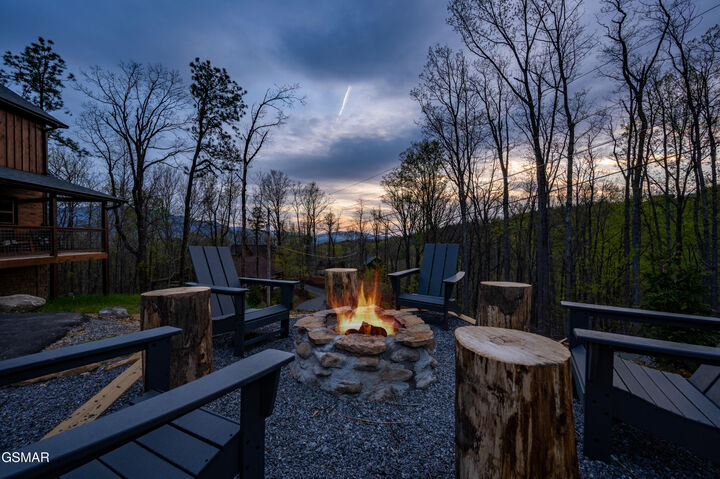 Property Photo:  834 Pine Top Lane  TN 37738 