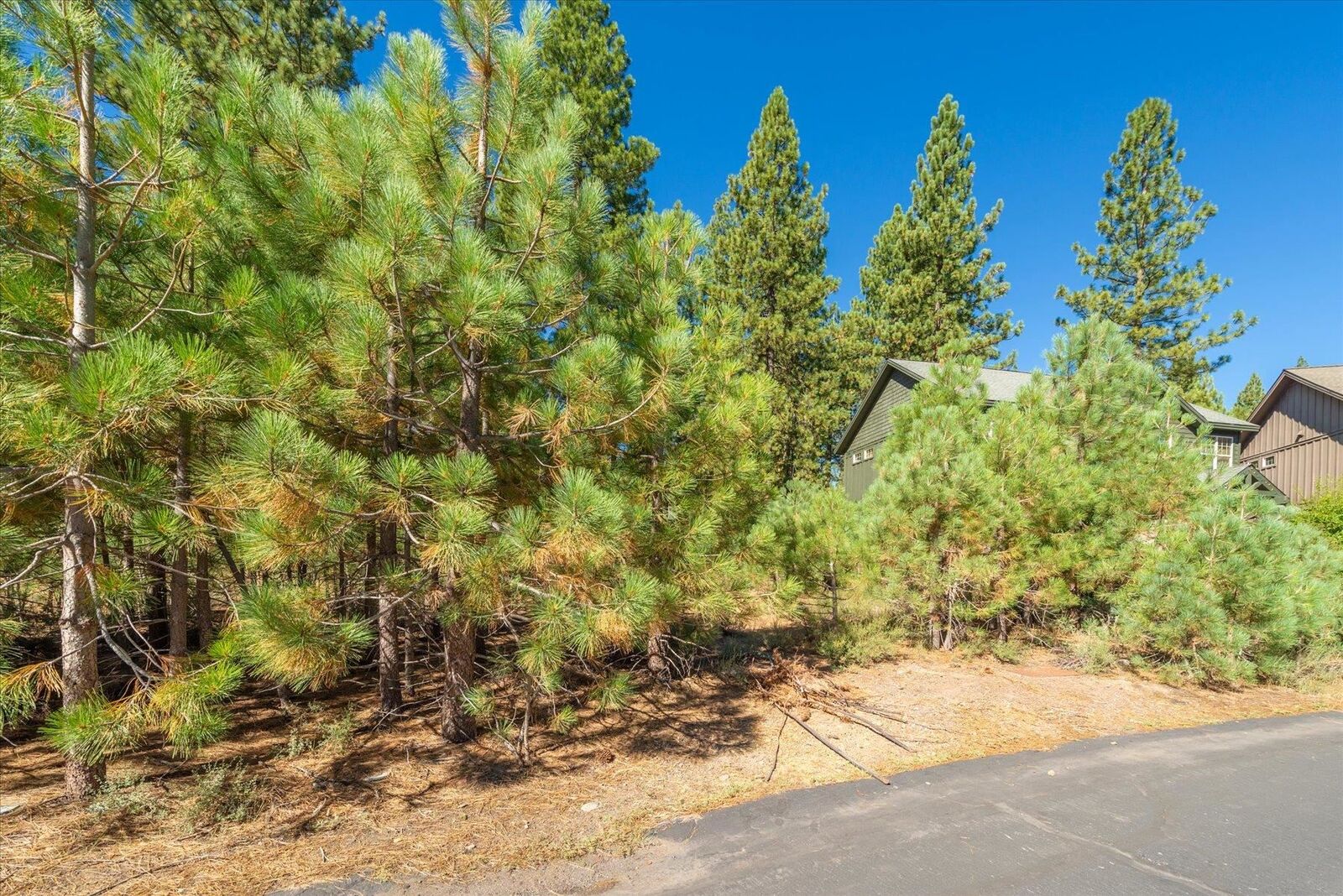 Property Photo: 11300 Wolverine Circle CA 96161