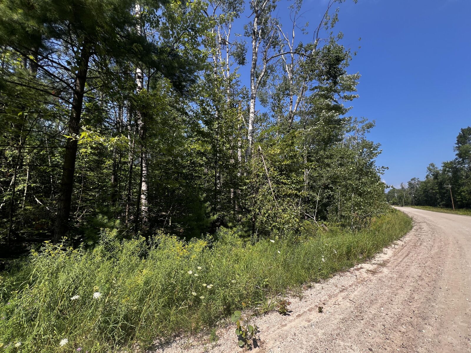 Property Photo: 15058 Avenue Du Chalet MI 49799