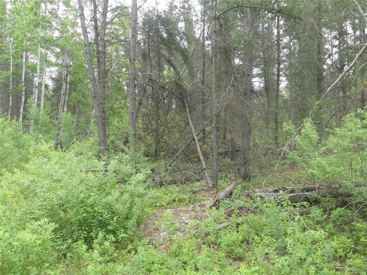 Property Photo:  104 Eagle Ridge Road  MB R0A 0Z0 