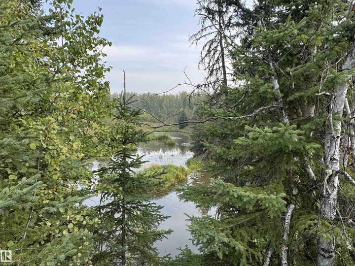 On Twp 484  Rural Brazeau County AB T0C 0A0 photo