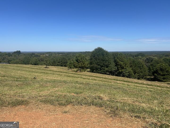 Property Photo:  0 Blackjack Mountain Road (Tract 2--19.93 Acres)  GA 30108 