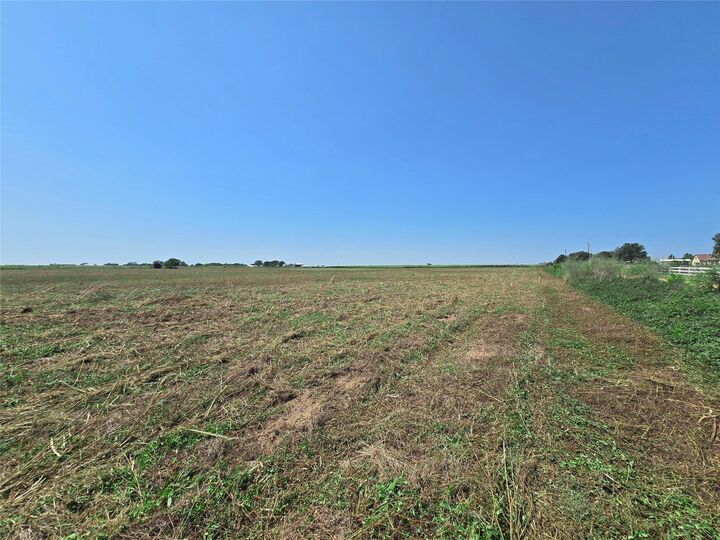 Property Photo:  3155 Meier Road S  TX 77474 