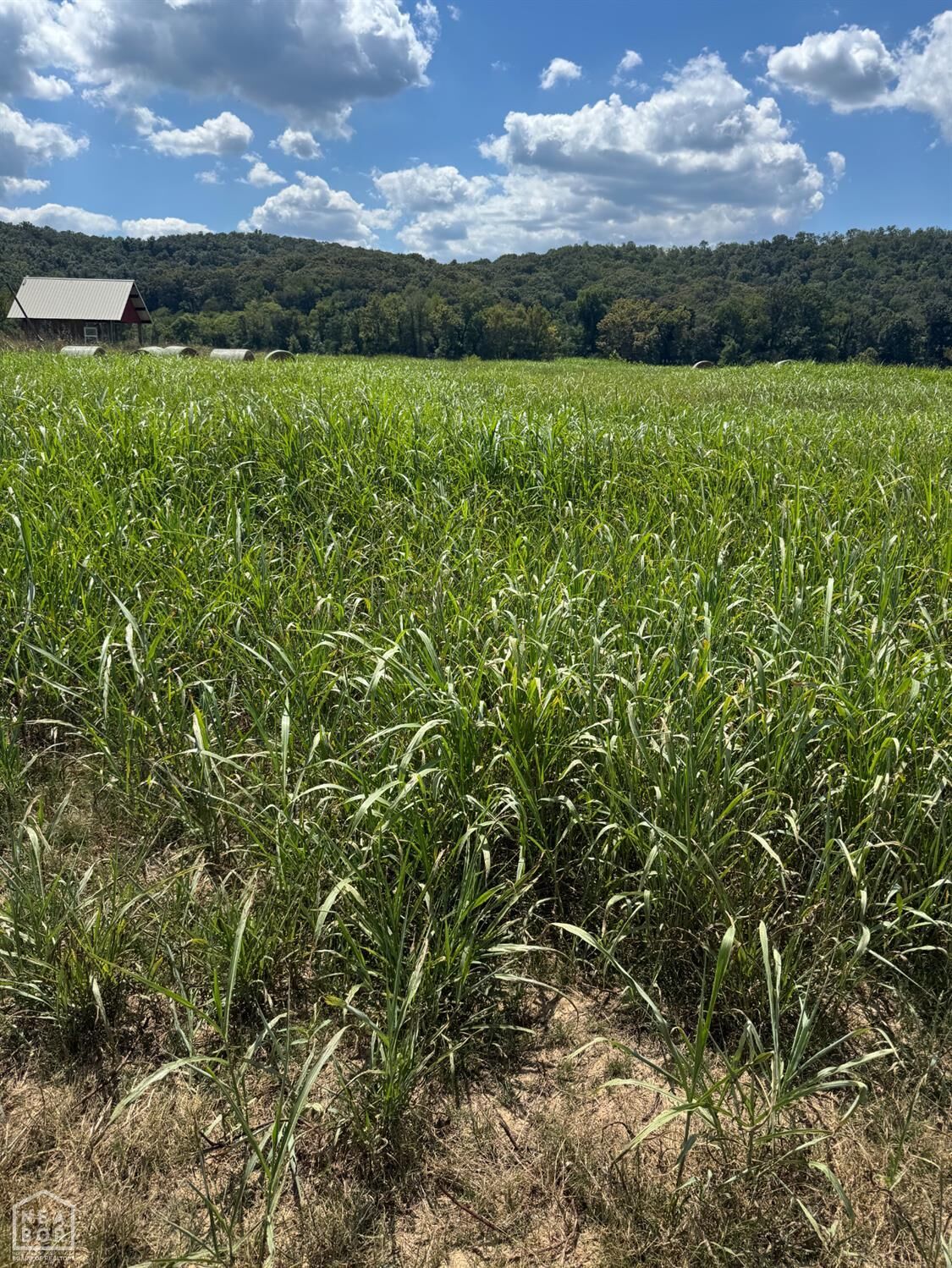Property Photo: 64 White River Run AR 72540