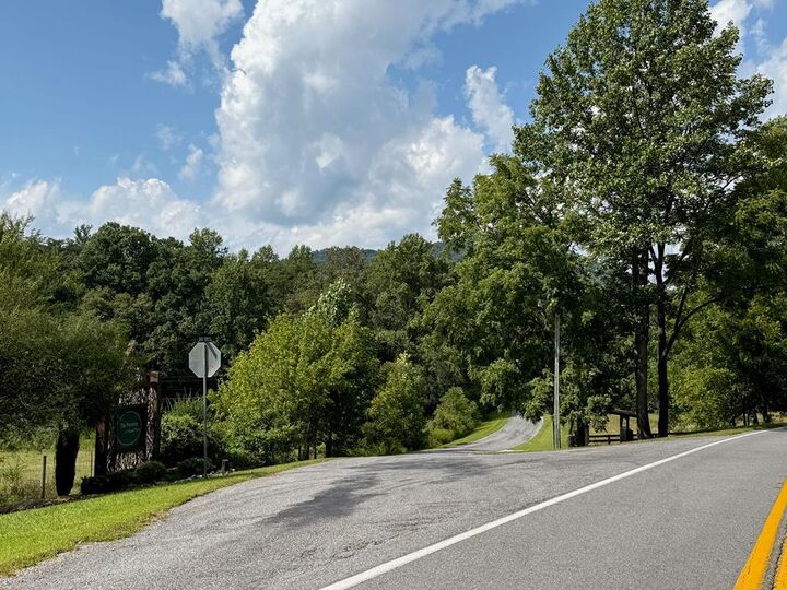Property Photo: Lot 54 The Preserve GA 30582