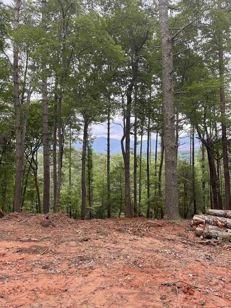 Property Photo:  Lot 592 Sapulpa Court  GA 30540 
