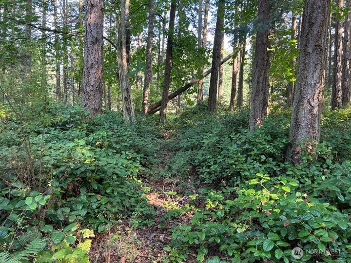 Property Photo:  135  Chinook Way  WA 98221 