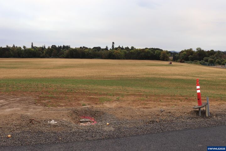 Property Photo:  Lot 1 Block 7 W Grant St  OR 97111 