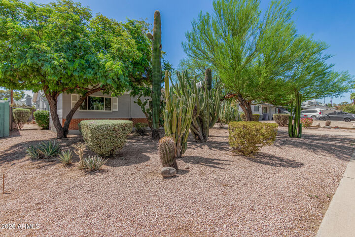Property Photo:  123 E Continental Drive  AZ 85288 
