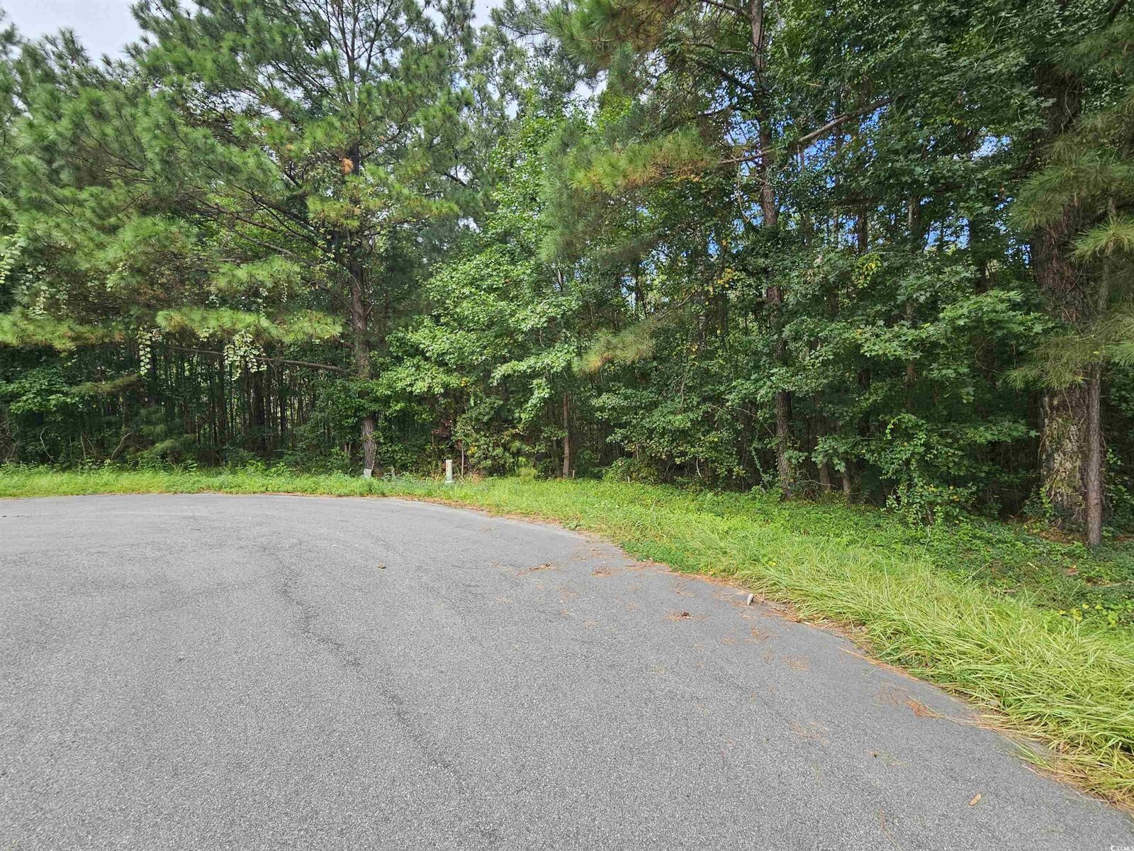 Property Photo:  8340 Bucksport Heights Circle  SC 29527 