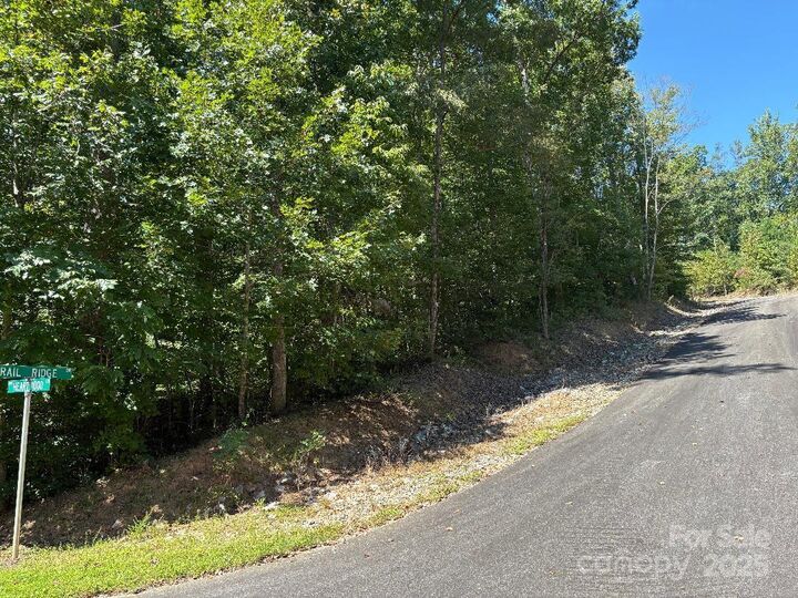 Property Photo: Lot 119 Trail Ridge Drive NC 28752