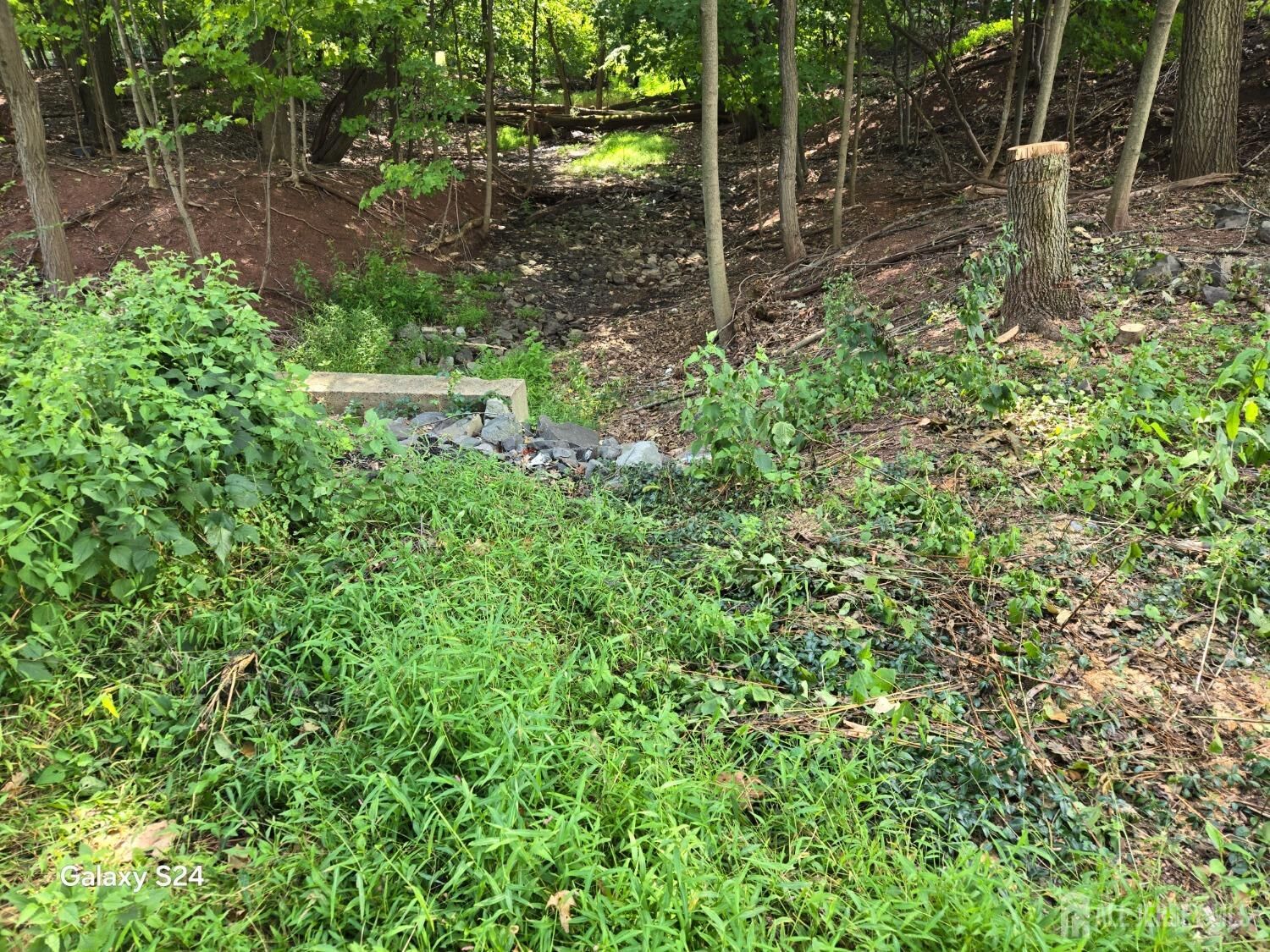 Property Photo:  17 Lake Park Drive  NJ 08854 