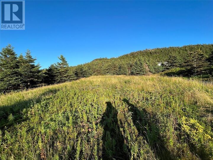 Property Photo:  117 Cape Shore Highway  NL A0B 2Y0 