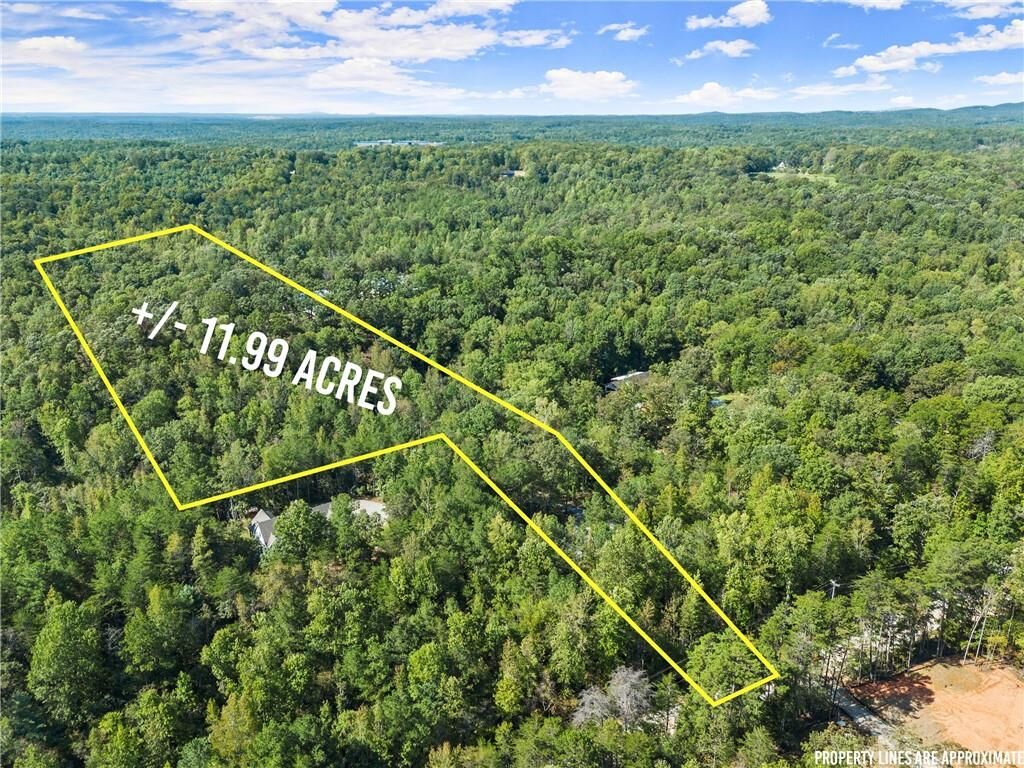 Property Photo:  0 Cleve Wright Road  GA 30534 