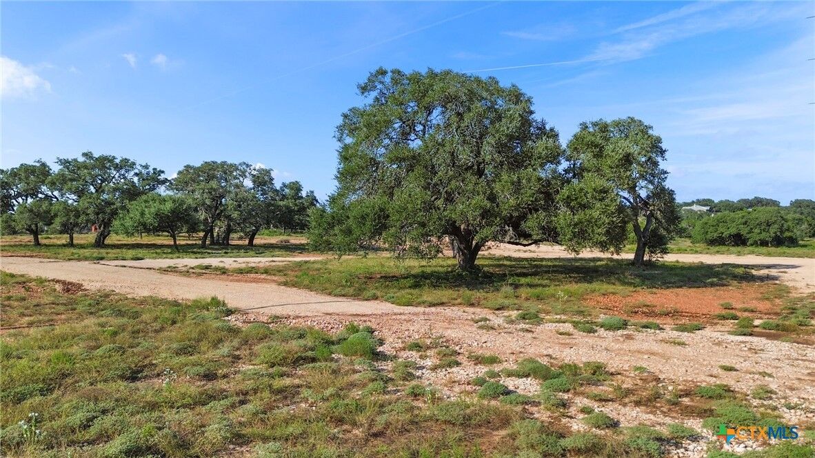 Property Photo:  154 Lone Oak Road  TX 78132 
