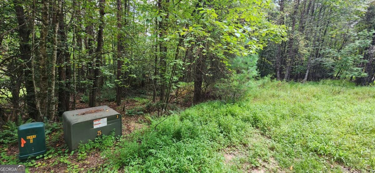 Property Photo: Lot 45 Old Mill Pond Road GA 30559