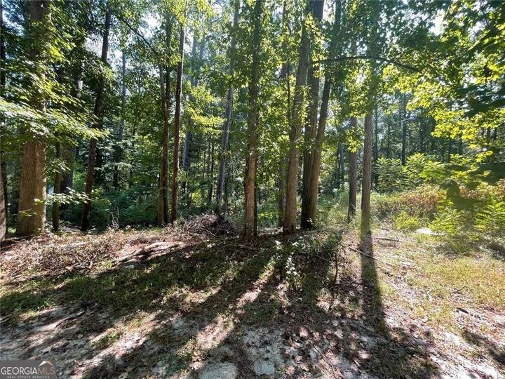 Property Photo: 6031 Falcon Court GA 30106