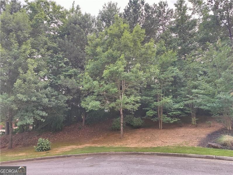 Property Photo:  239 Amy Overlook  GA 30349 