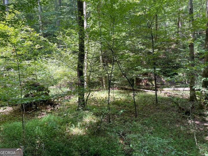 Lot 223 Bowline Drive 223  Ellijay GA 30540 photo